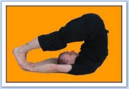 yoga posture la charrue