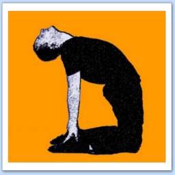 yoga posture chameau