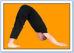 yoga seance cours posture le chien