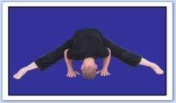 yoga seance cours posture des 4 membres alignés